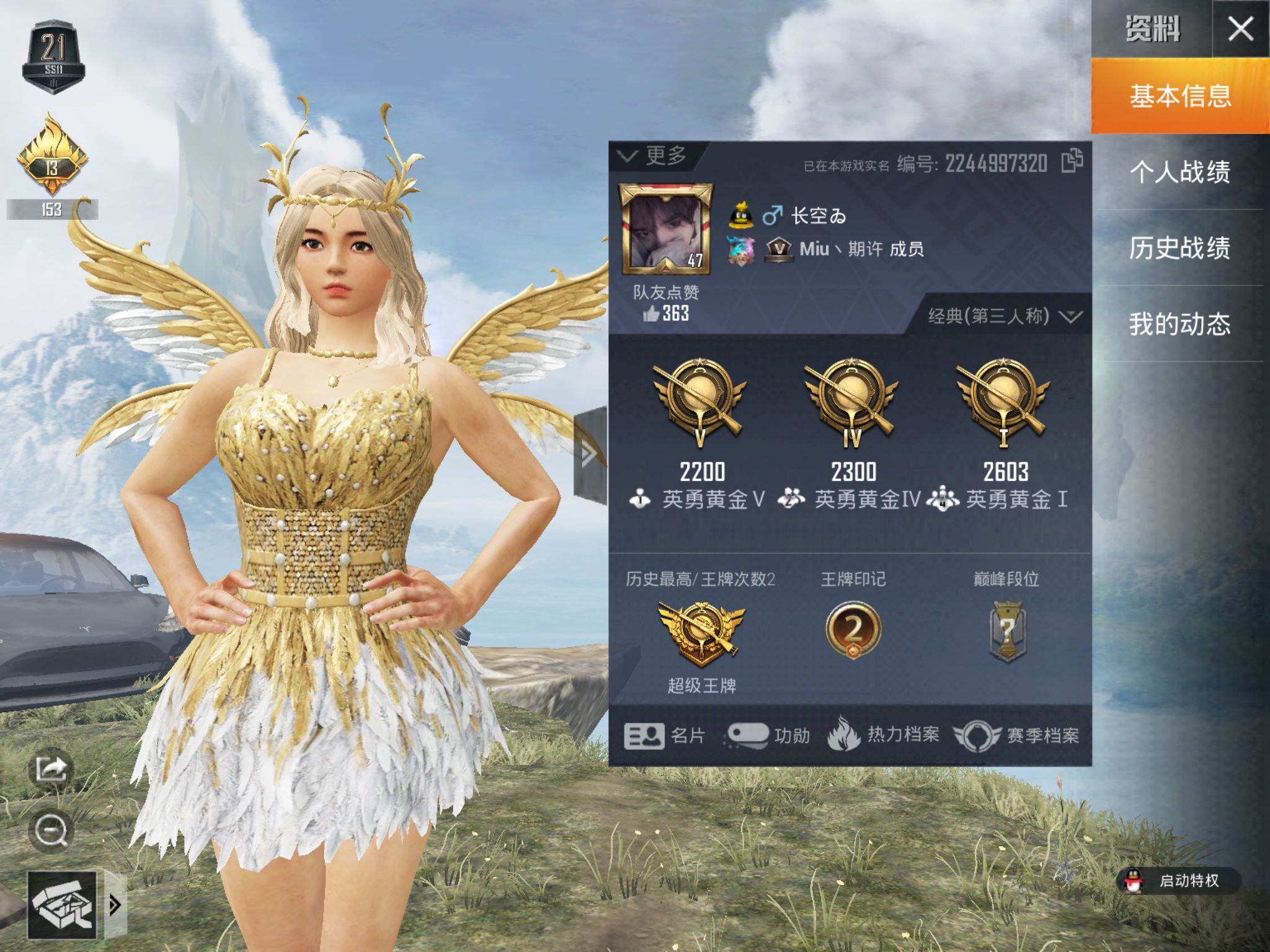 冷银特斯拉-金属狂野-炫紫旋律【破军】-和平精英-游戏账号-淘号帮